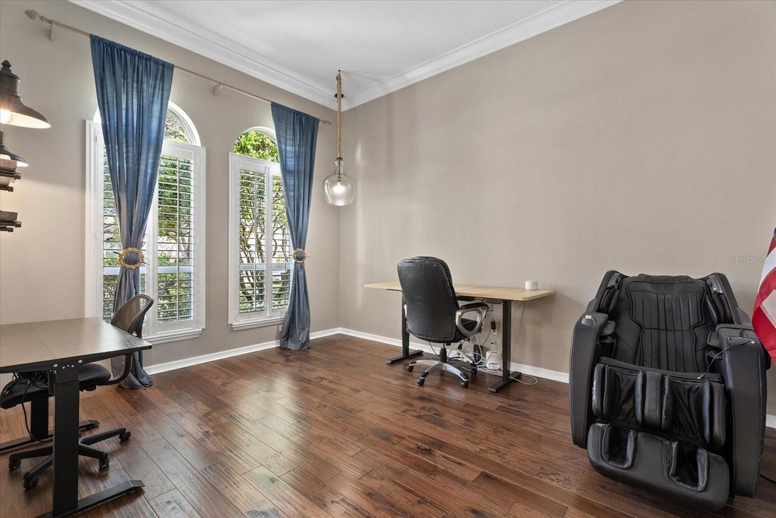 House in Tampa, Florida, United States 5 - 18449254