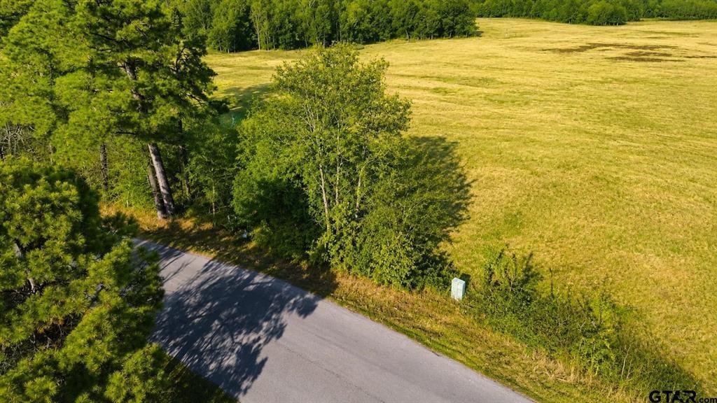 Land in Scroggins, Texas, United States 5 - 18447439