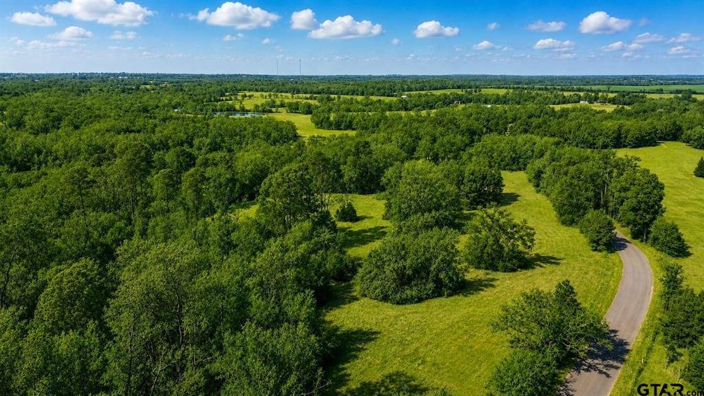 Land in Scroggins, Texas, United States 1 - 18447439