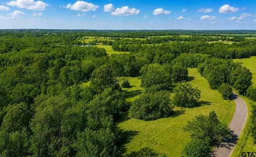 Land in Scroggins, Texas, United States 1