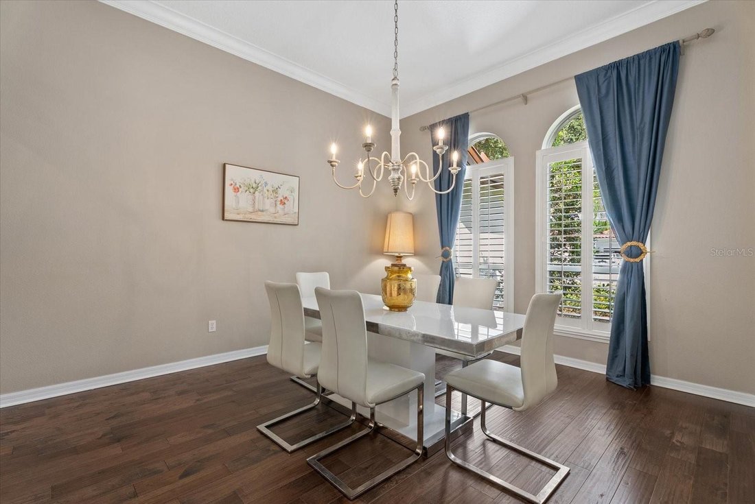 House in Tampa, Florida, United States 4 - 18449254