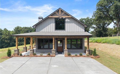 Maison à Cleveland, Géorgie, États-Unis 1