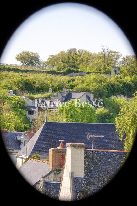 Maison à Montsoreau, Pays de la Loire, France 3 - 18448987