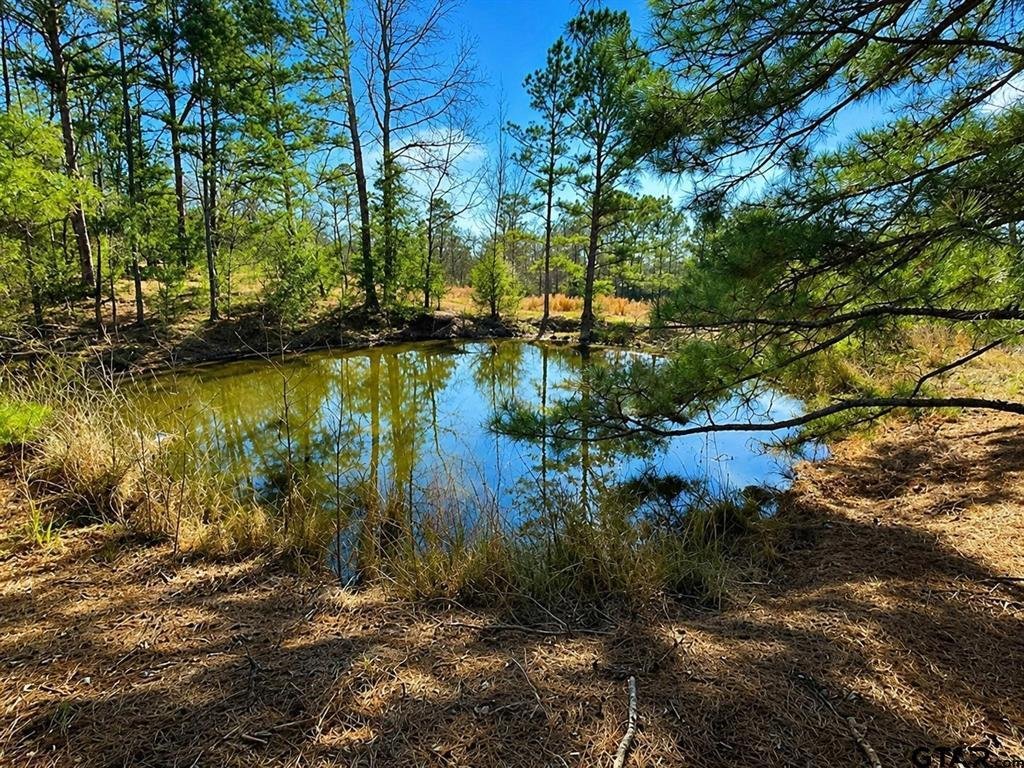 Land in Scroggins, Texas, United States 2 - 18447439