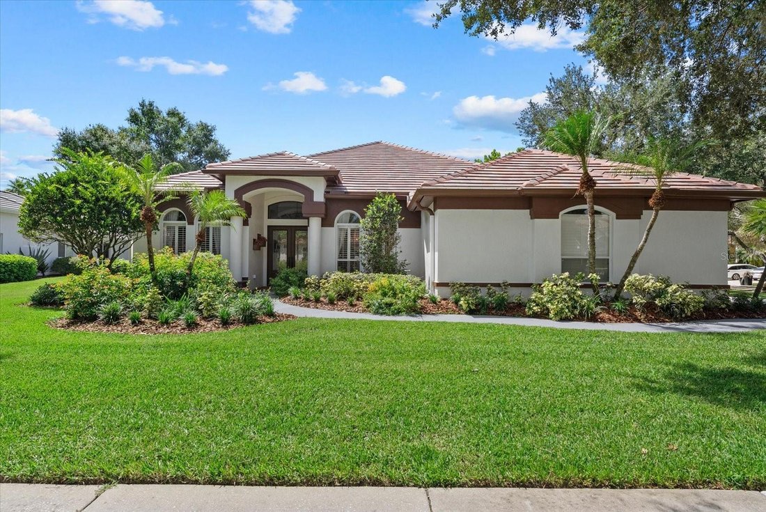 House in Tampa, Florida, United States 1 - 18449254