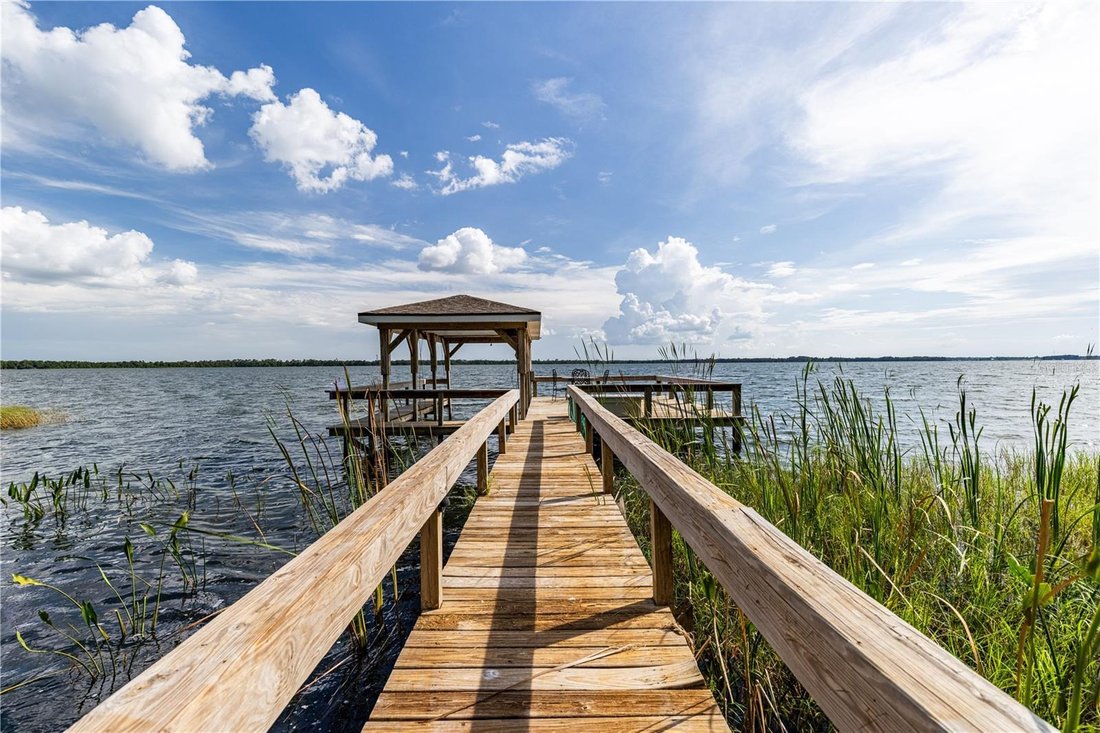 House in Tavares, Florida, United States 4 - 18449287