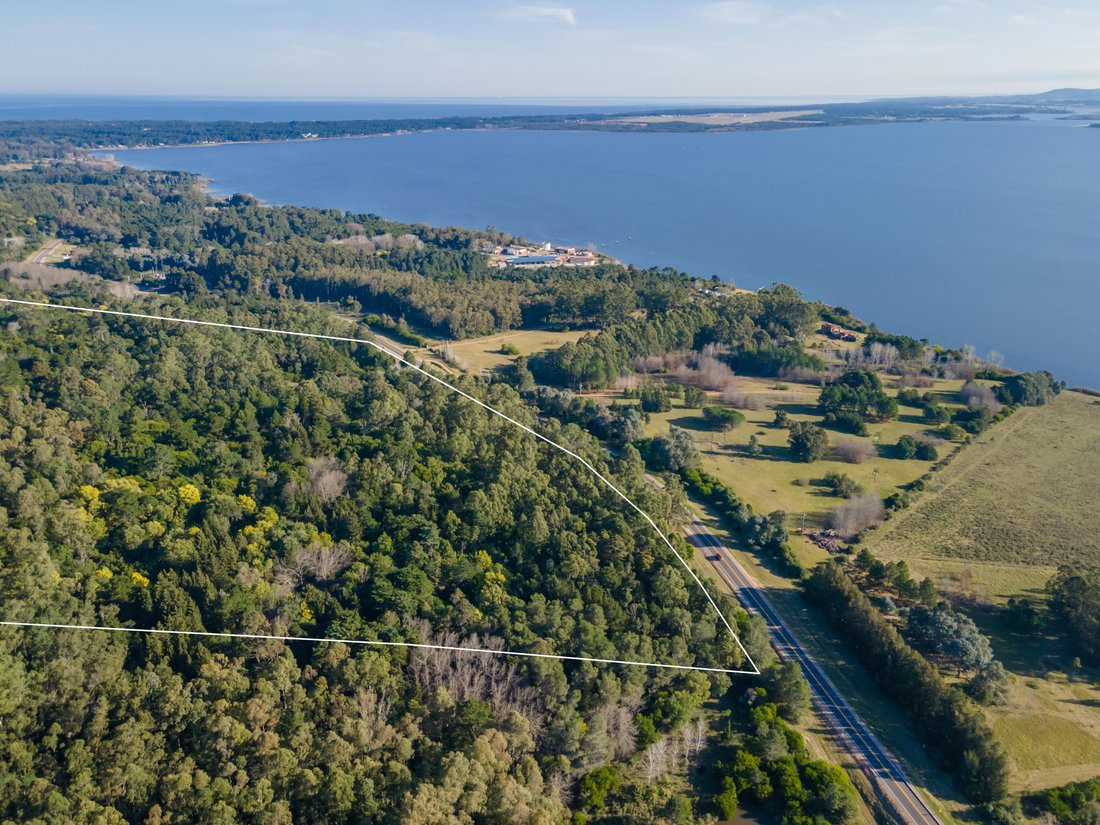 Posadas, Misiones Province, Argentina 1 - 18449680
