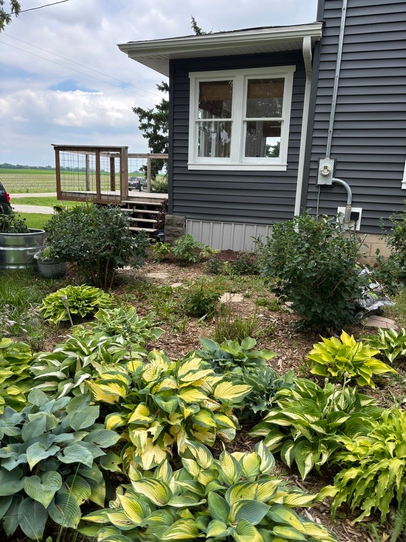 House in Peotone, Illinois, United States 4 - 18450726