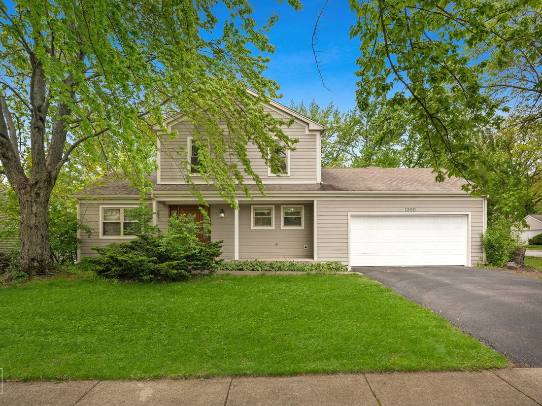 House in Bolingbrook, Illinois, United States 1 - 18450700