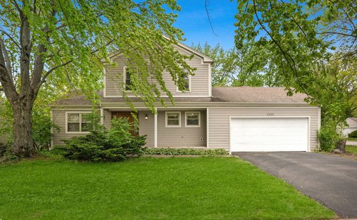 House in Bolingbrook, Illinois, United States 1