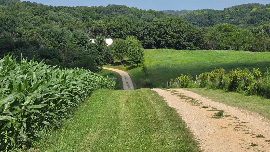 House in Richland Center, Wisconsin, United States 1 - 17690640