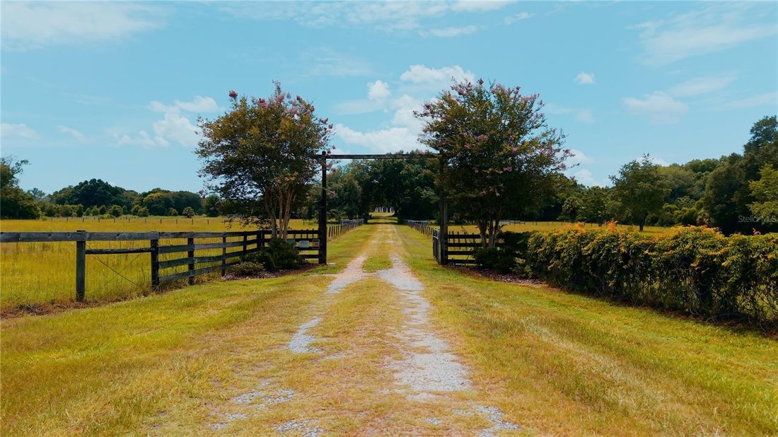 House in Mount Dora, Florida, United States 2 - 18446548