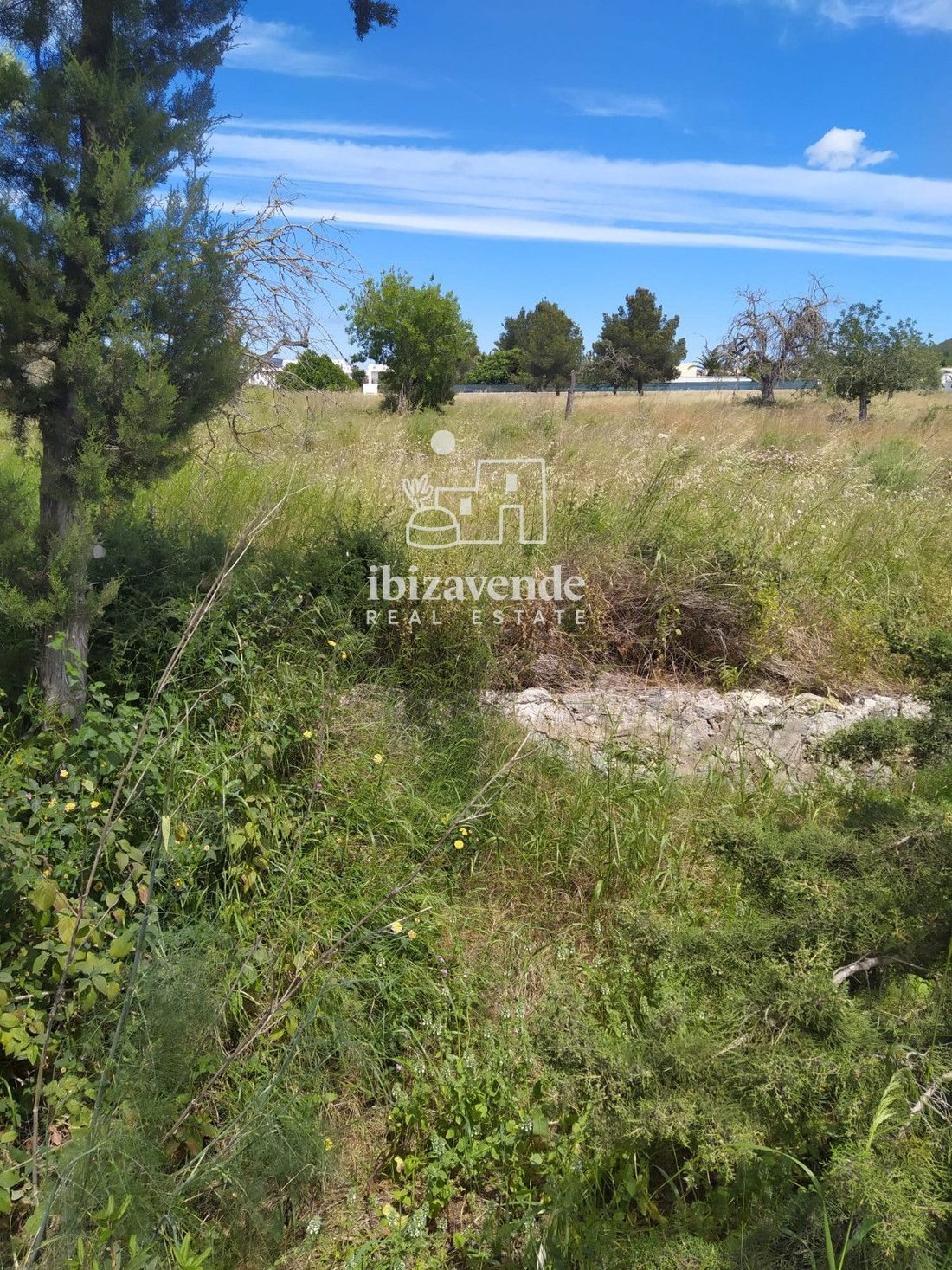 Finca in Ca na Negreta, Santa Eularia des Riu, Balearic Islands 2 - 18445927