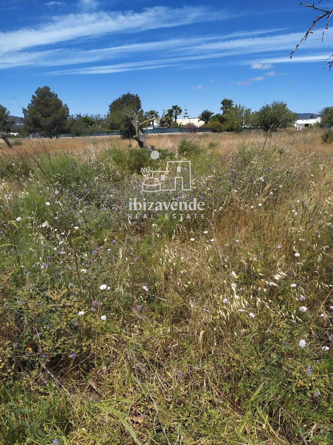 Finca in Ca na Negreta, Santa Eularia des Riu, Balearic Islands 3 - 18445927