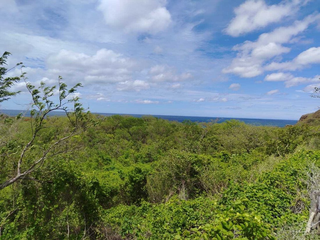 Land in Juan Dávila, Rivas, Nicaragua 1 - 18450731