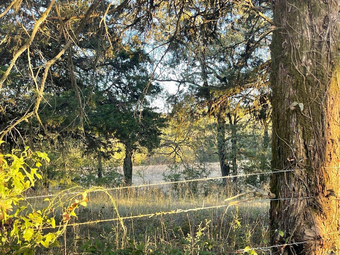 Land in Mena, Arkansas, United States 5 - 18450104