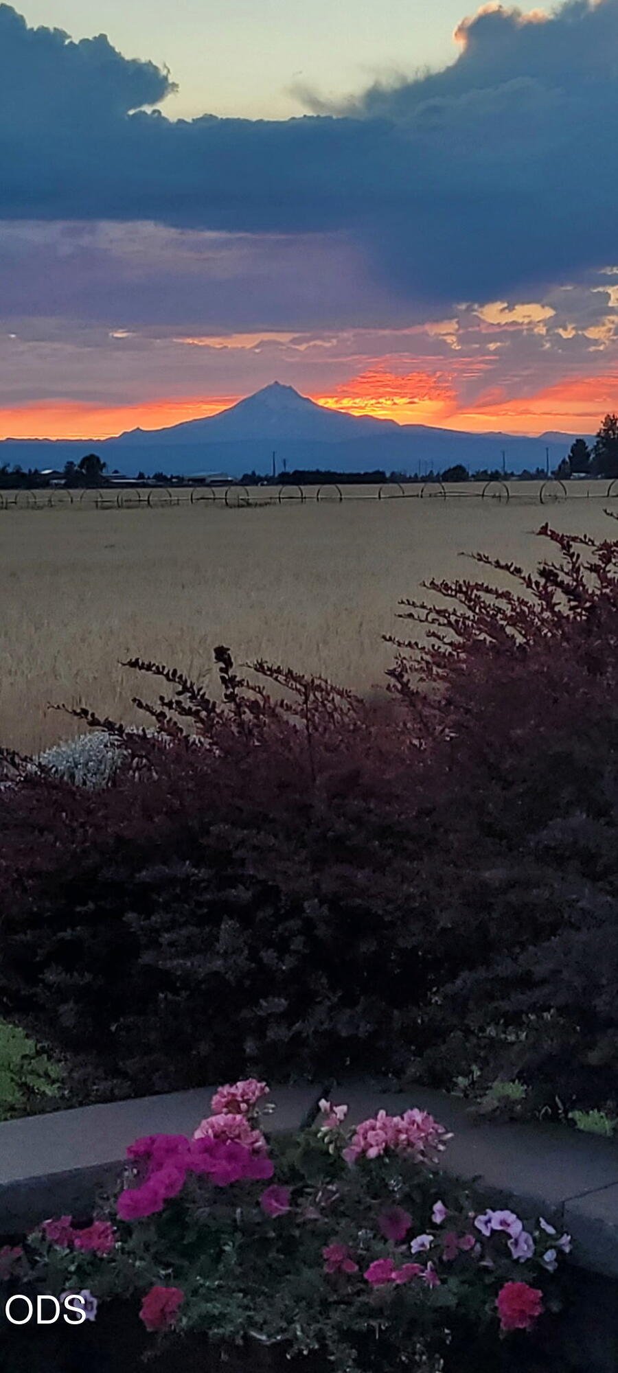 House in Culver, Oregon, United States 3 - 17672302