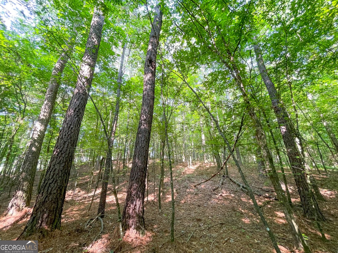 Land in Calhoun, Georgia, United States 5 - 18447447
