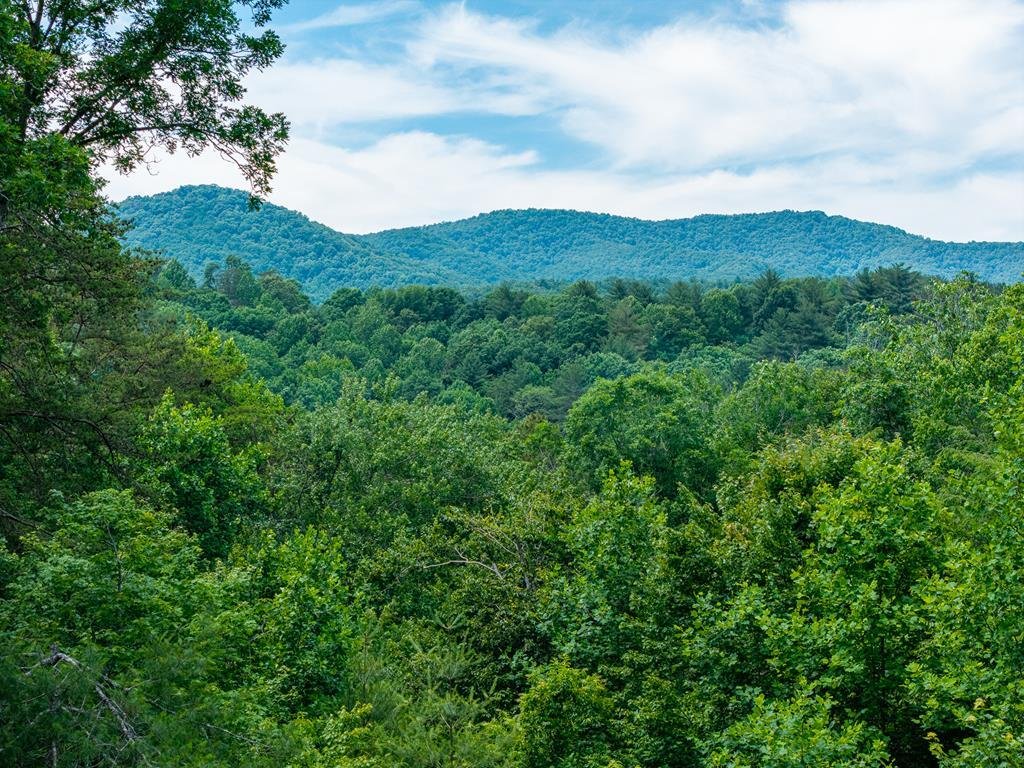 House in Ellijay, Georgia, United States 3 - 18167128