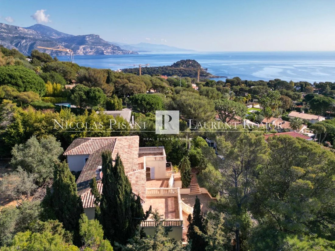 Villa in Saint-Jean-Cap-Ferrat, Provence-Alpes-Côte d'Azur, France 3 - 18449765