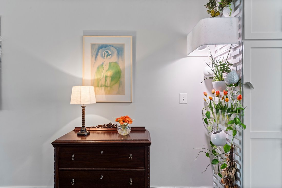 House in Baltimore, Maryland, United States 5 - 18447568