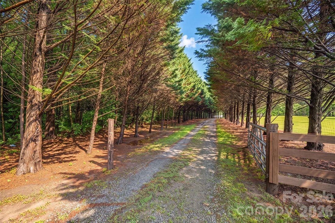 House in Alexis, North Carolina, United States 2 - 18448454