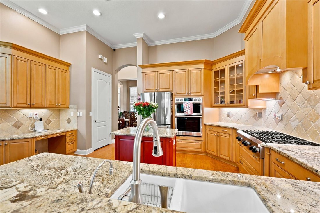 House in Land O' Lakes, Florida, United States 5 - 18447209