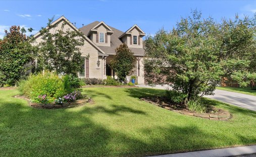 House in Conroe, Texas, United States 1