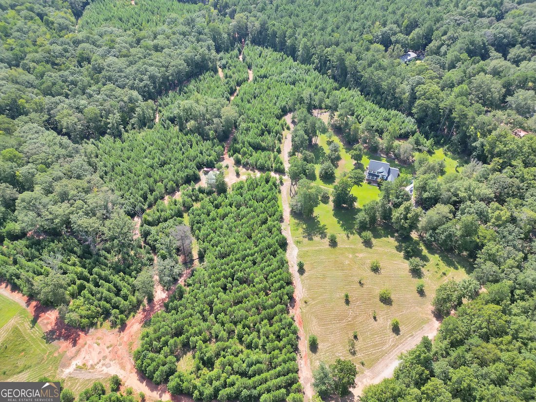 House in Flovilla, Georgia, United States 3 - 18450442