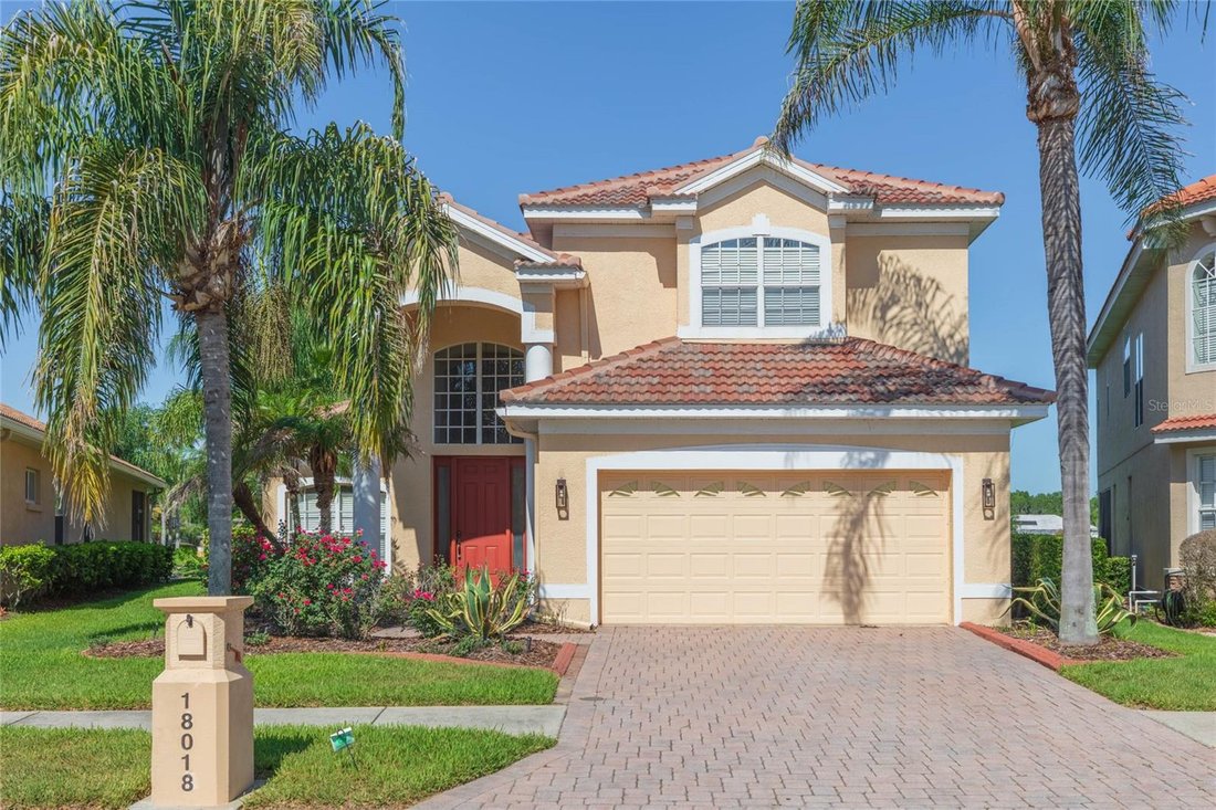 House in Tampa, Florida, United States 3 - 18446505