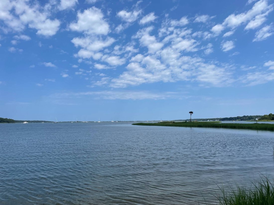 House in East Hampton, New York, United States 3 - 18450231