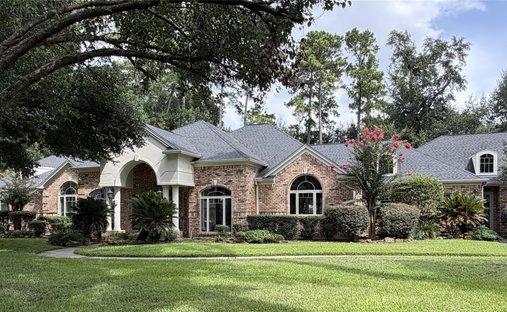 House in Spring, Texas, United States 1