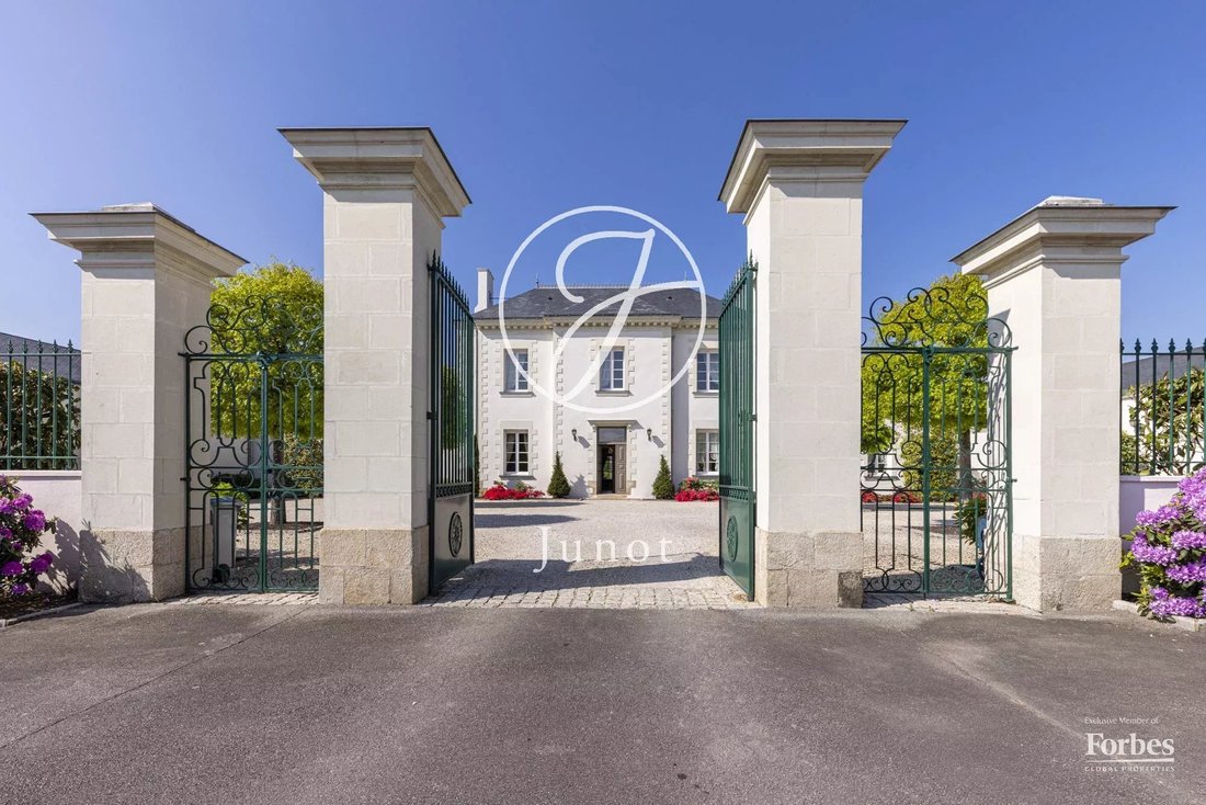 House in Sud, Les Sorinieres, France 2 - 18448237