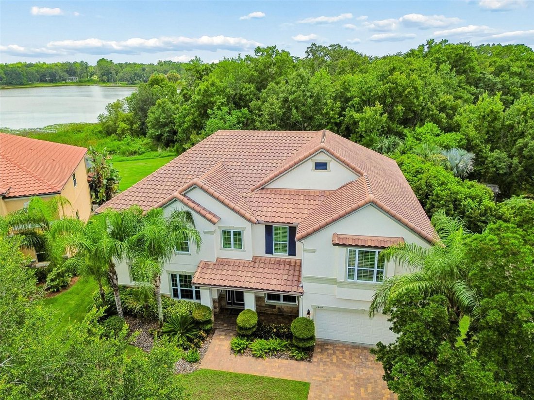 House in Tampa, Florida, United States 4 - 18449230