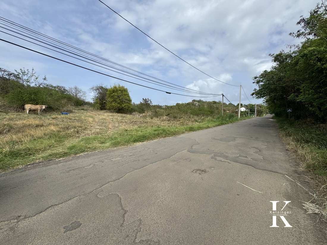 Land in Le Vauclin, Le Marin, Martinique 4 - 18452460