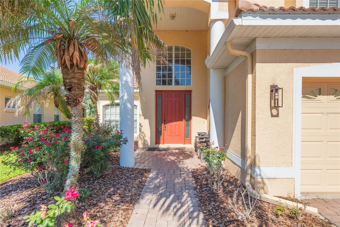 House in Tampa, Florida, United States 5 - 18446505