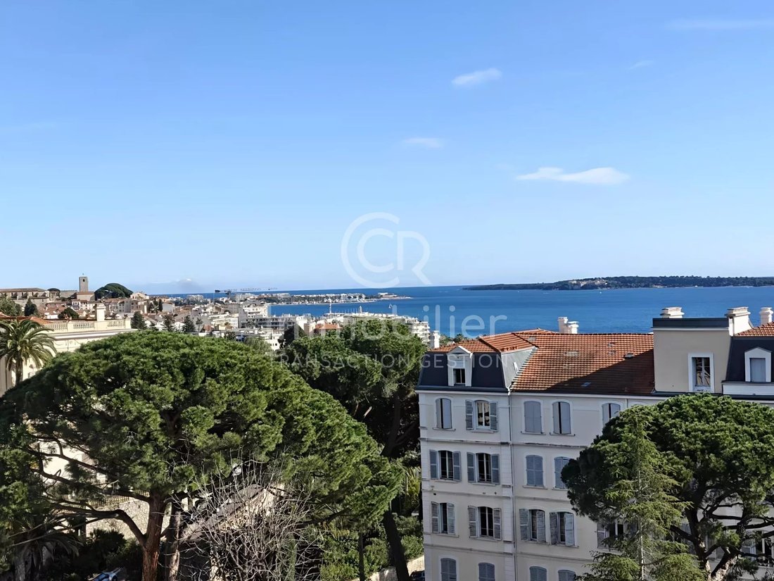 House in Cannes, Provence-Alpes-Côte d'Azur, France 2 - 17287398