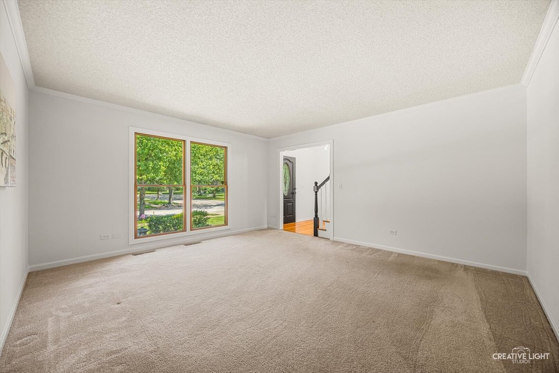 House in Naperville, Illinois, United States 4 - 18450655