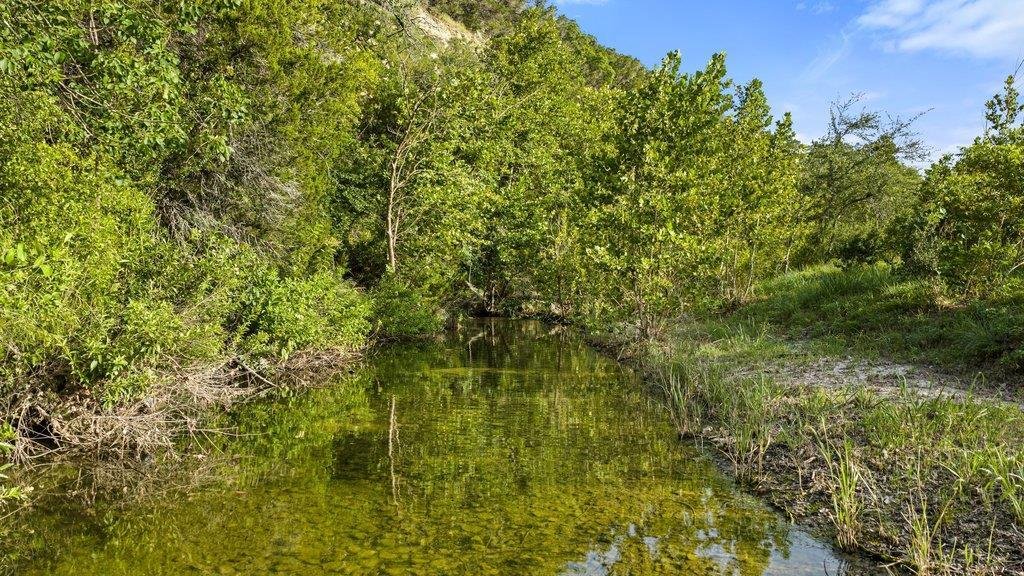 House in Spicewood, Texas, United States 3 - 18450207
