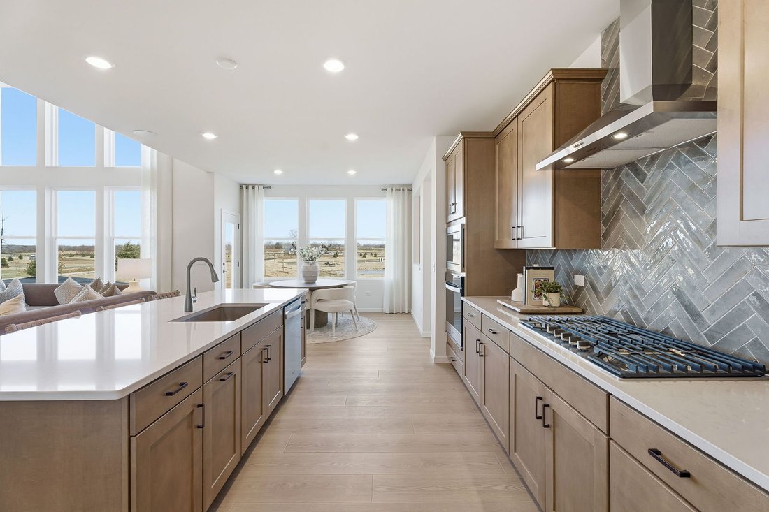 House in Orland Park, Illinois, United States 3 - 18447233