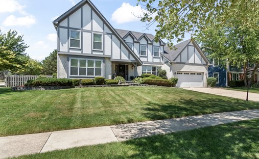 House in Hoffman Estates, Illinois, United States 1