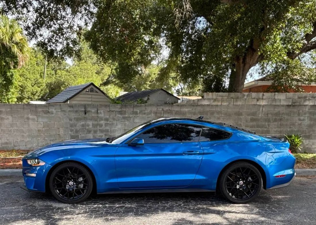 Coupe in Tampa, FL, United States 5 - 18451947