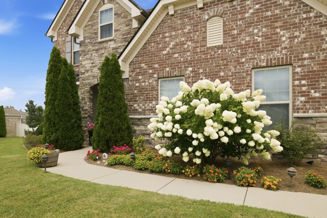 House in Spring Hill, Tennessee, United States 4 - 18450534