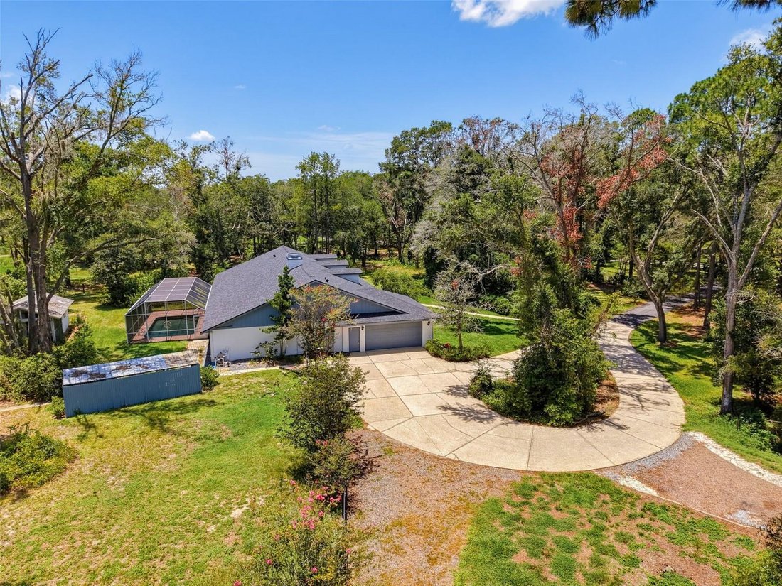 House in Spring Hill, Florida, United States 5 - 18446489