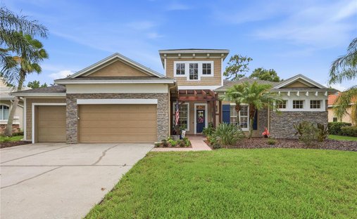 House in Land O' Lakes, Florida, United States 1