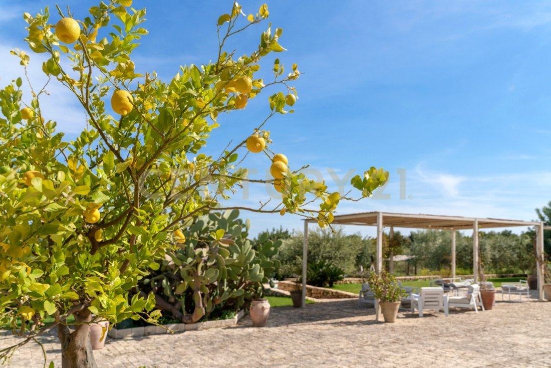 Country House in Noto, Sicily, Italy 5 - 18363580