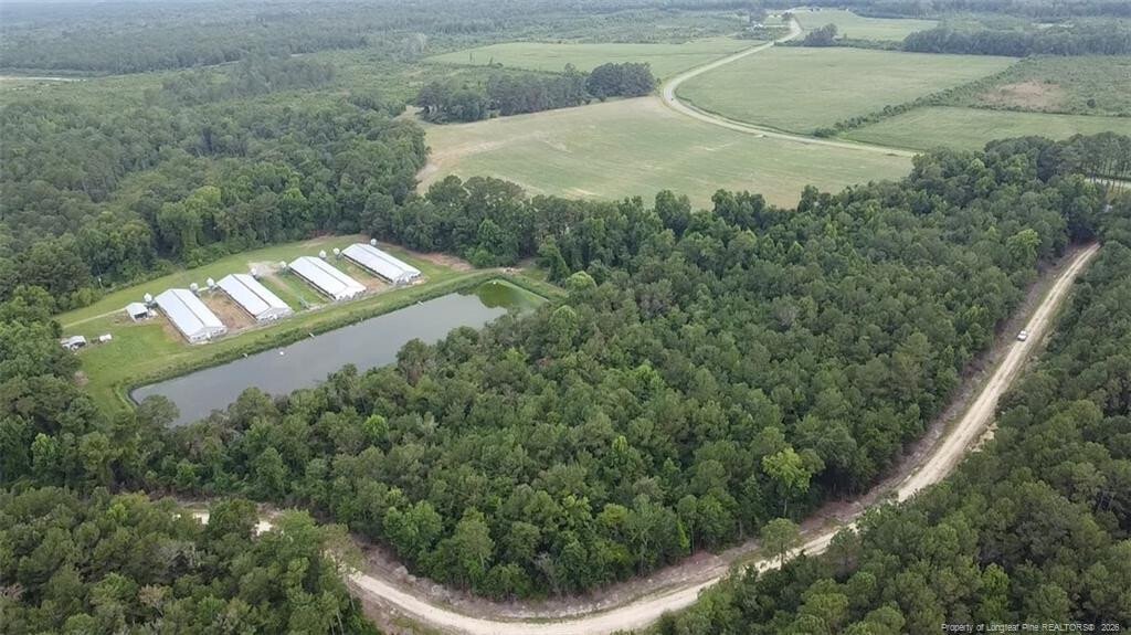 Farm Ranch in Bladenboro, North Carolina, United States 1 - 17313710