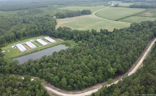 Farm Ranch in Bladenboro, North Carolina, United States 1