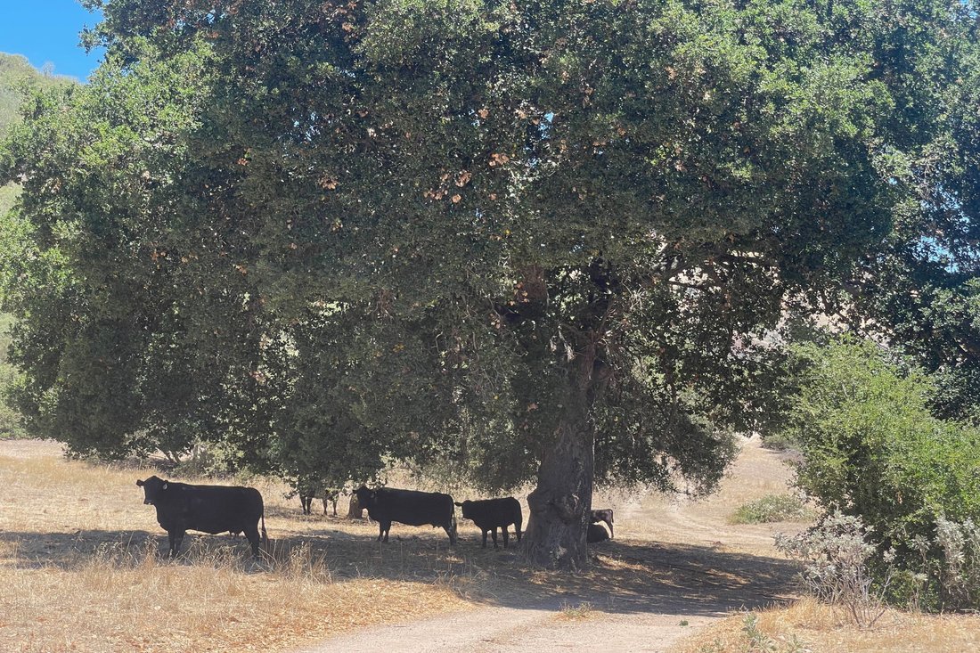 Land in Greenfield, California, United States 3 - 18441916