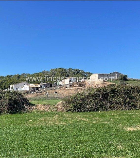 Finca in Ciutadella de Menorca, Balearic Islands, Spain 4 - 18446316